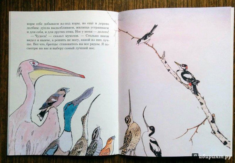 Бианки чей нос лучше чему учит