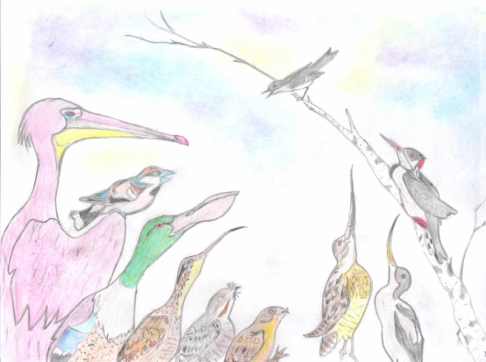 Как правильно заполнить читательский дневник по произведению "чей нос лучше" а. н. бианки?