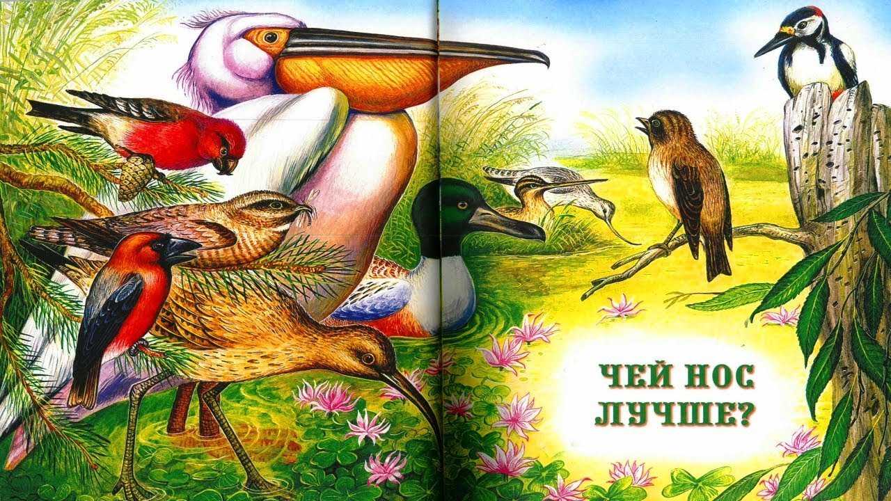 Содержание бианки чей нос лучше. сказка чей нос лучше. ход непосредственной образовательной деятельности