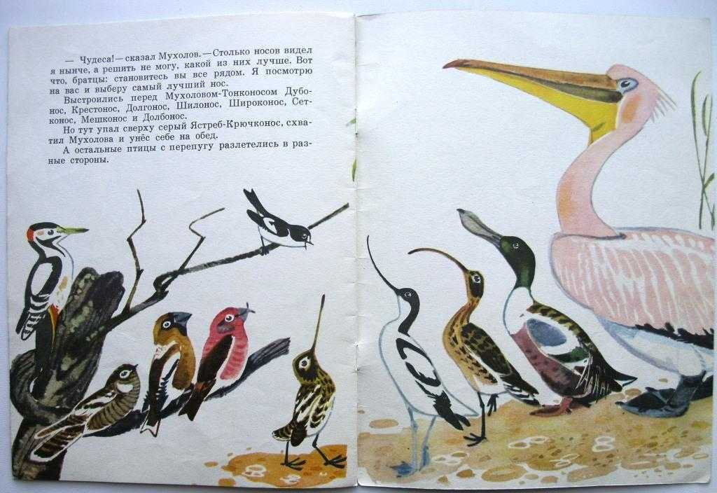 Бианки чей нос лучше анализ произведения. сказка чей нос лучше