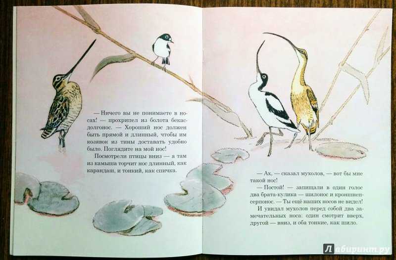 Бианки чей нос лучше анализ произведения. сказка чей нос лучше