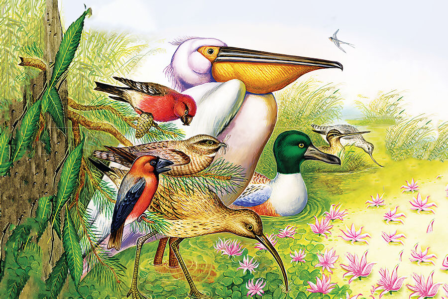 Чей нос лучше? - рассказ виталия бианки читать с картинками