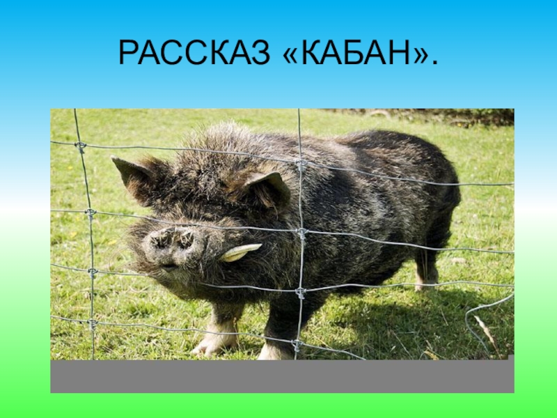 Властелин колец все части: 1, 2, 3, 4, 5, 6 смотреть онлайн бесплатно по порядку