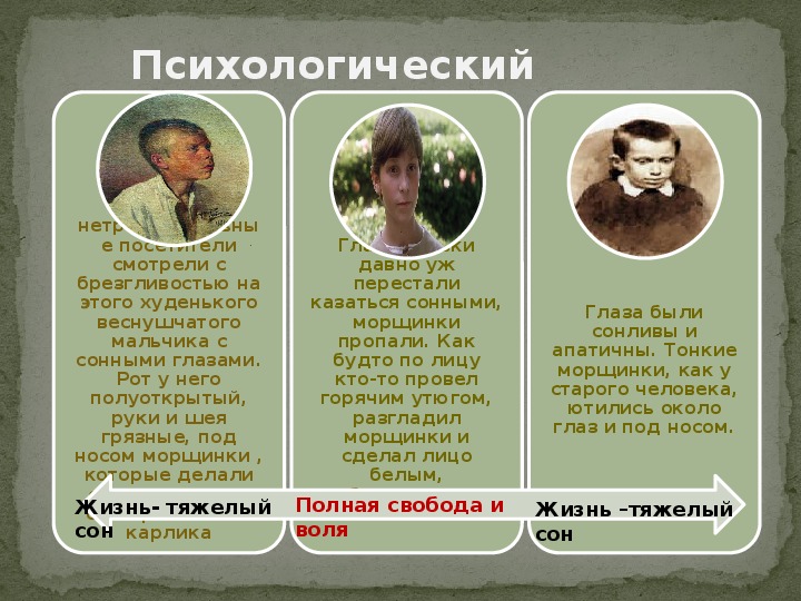 «петька на даче» краткое содержание для читательского дневника по рассказу андреева (5 класс) – главная мысль, отзыв, сюжет