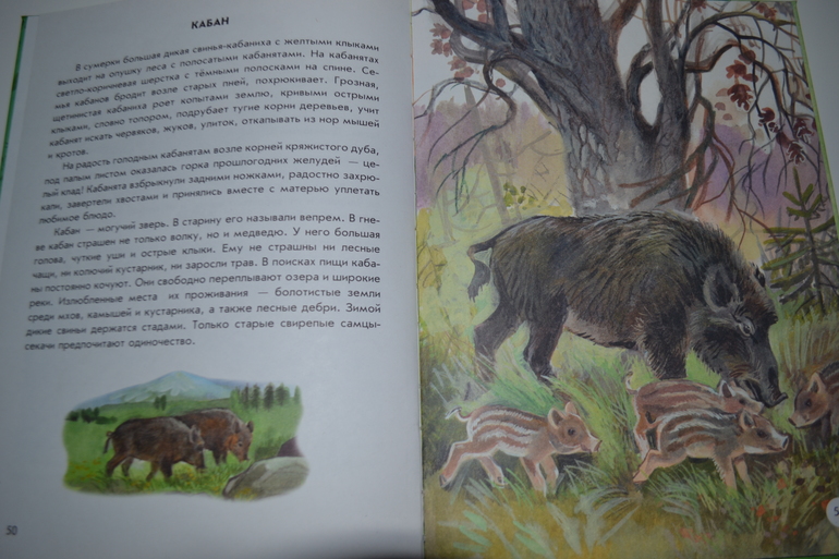 Властелин колец все части: 1, 2, 3, 4, 5, 6 по порядку смотреть онлайн