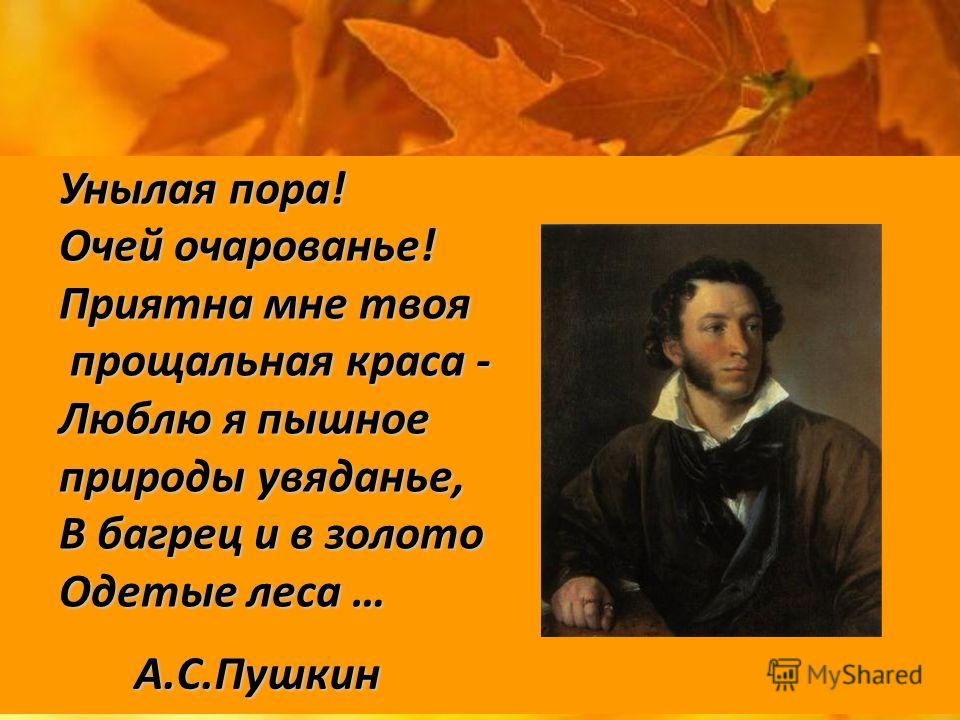 ГДЗ Литературное чтение 4 класс рабочая тетрадь номер 1 Унылая пора Очей очарованье стр 21 22 Но В словаре найди значение слова багрец Запиши его