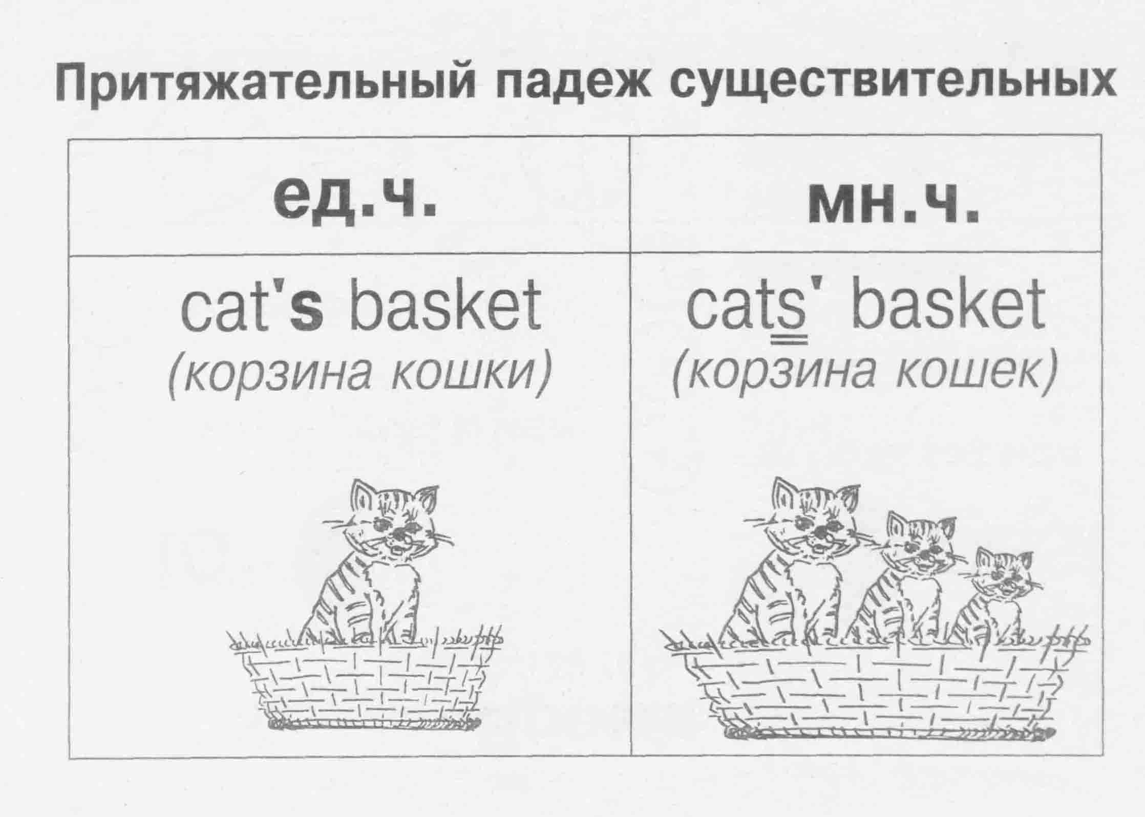 Unit 4 step 1  гдз ответы к рабочей тетради по английскому языку rainbow english 4 класс, афанасьева, михеева - izi5.ru
