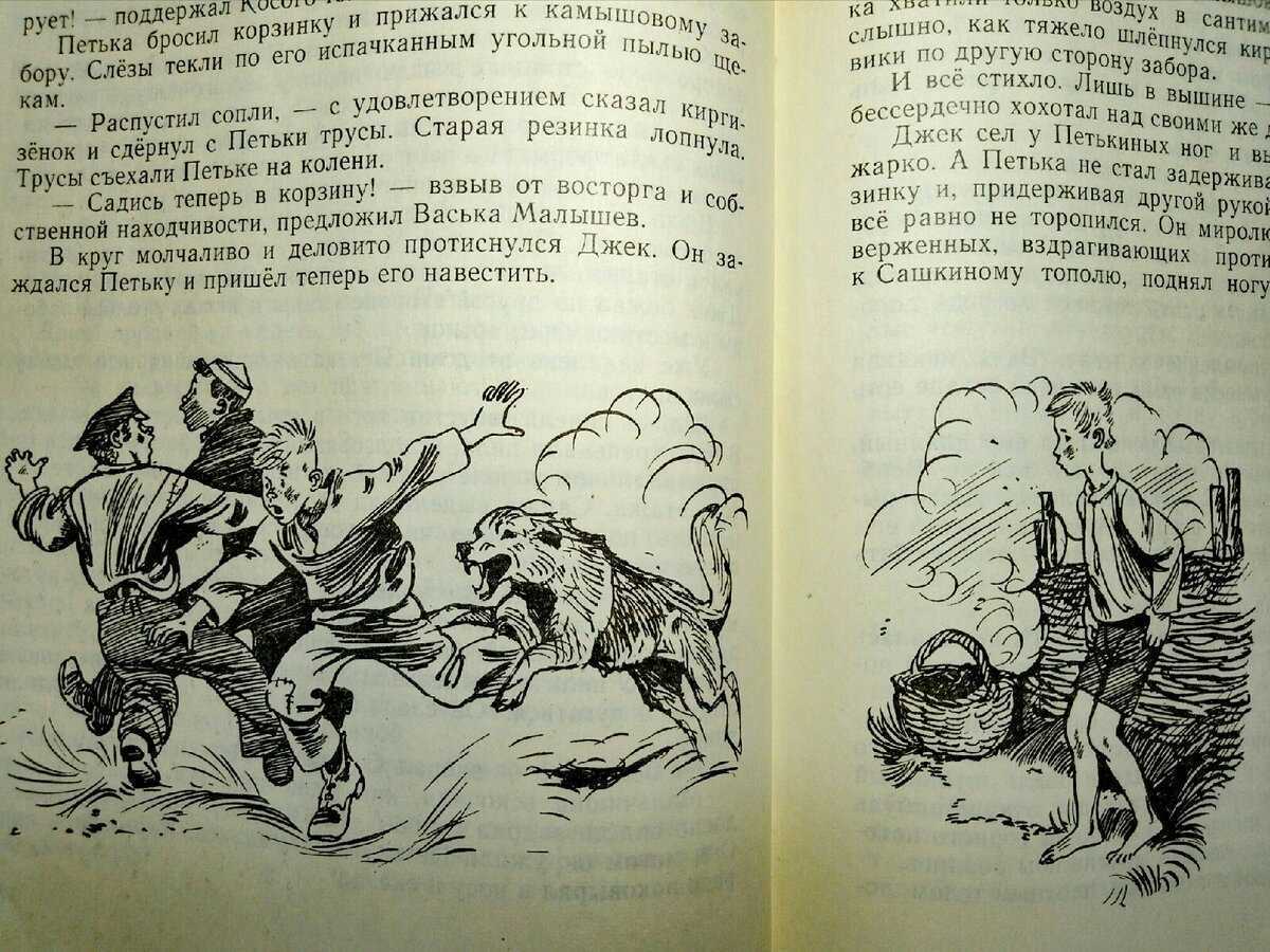 Рассказ «петька на даче» для читательского дневника: краткое содержание, основная мысль, главные герои