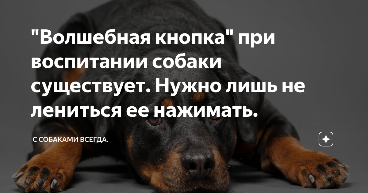 Путешествие голубой стрелы - краткое содержание сказки родари (сюжет произведения)