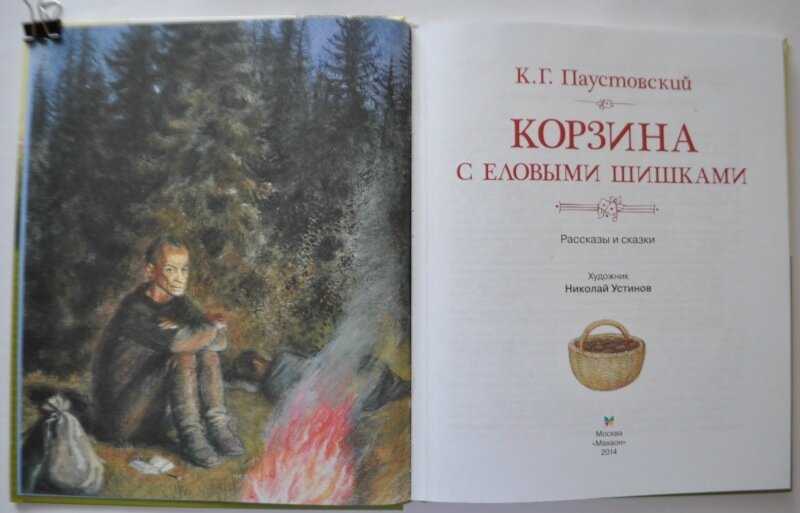 Как написать в читательский дневник корзина с еловыми шишками