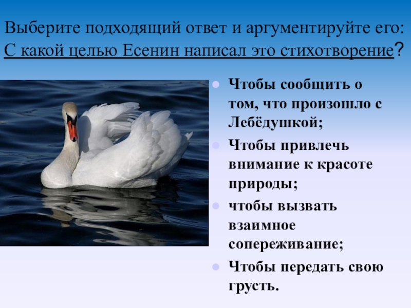 Урок литературного чтения в 4 классе по фгос «с. есенин «лебёдушка». воспитателям детских садов, школьным учителям и педагогам - маам.ру
