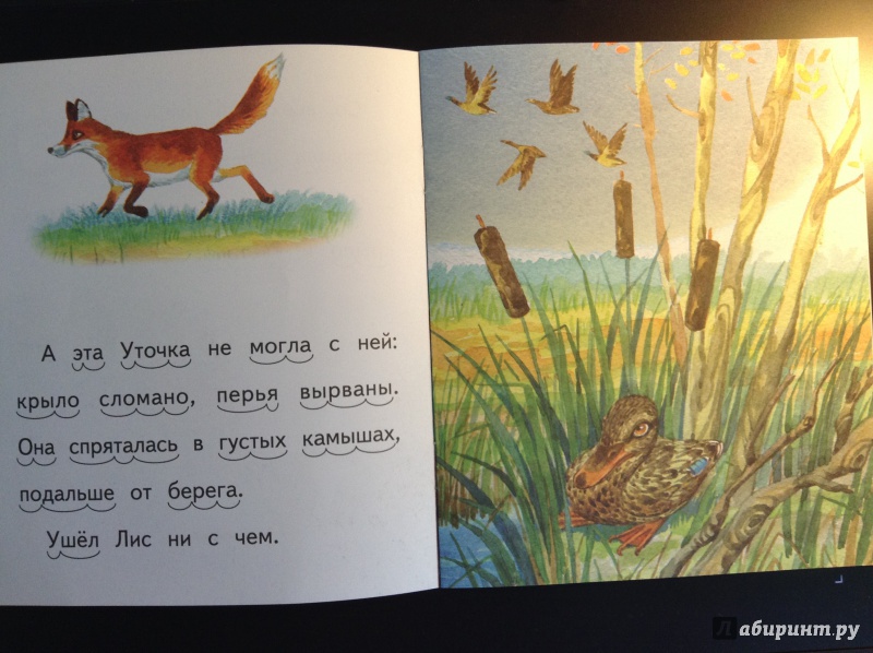 Уроки литературного чтения в 3 классе. русская сказка «белая уточка»