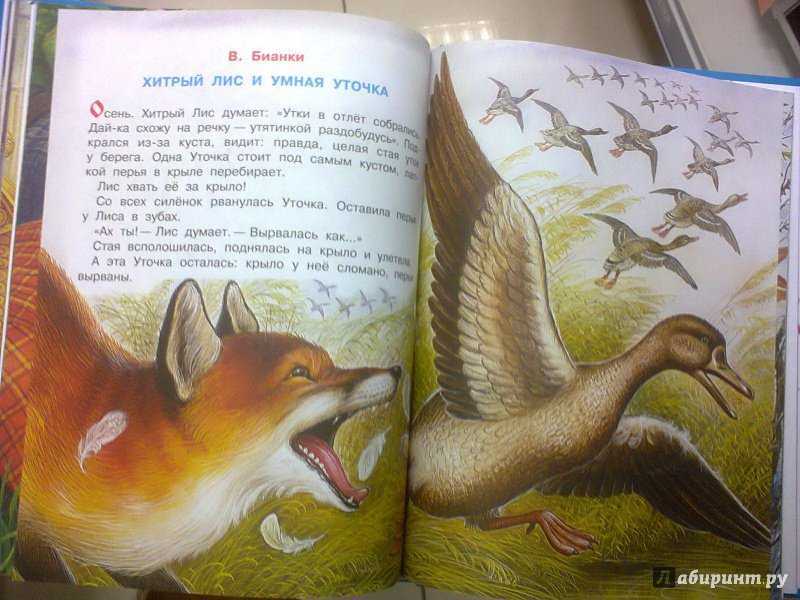 Белая уточка. русская народная сказка