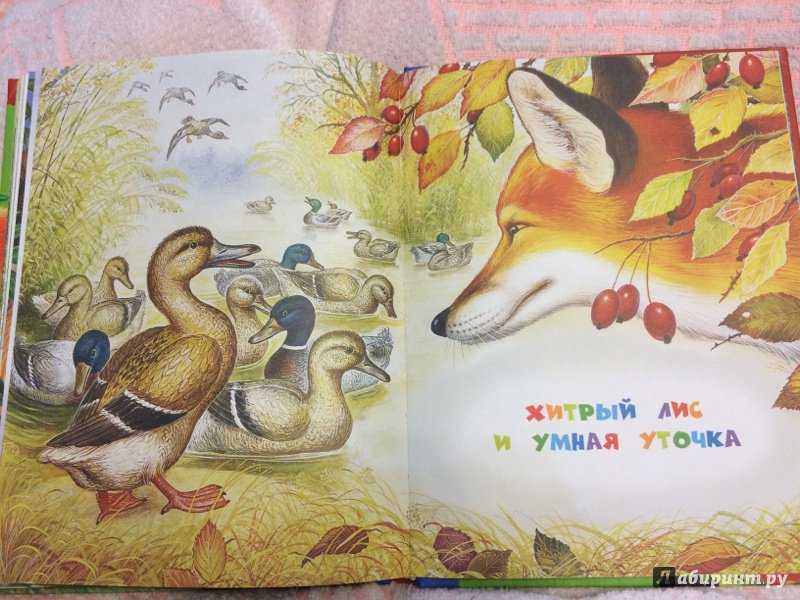 Белая уточка - русская народная сказка. читать онлайн