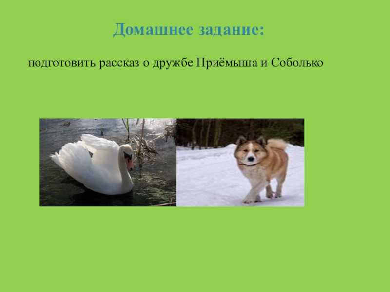 Человек-паук все части по порядку