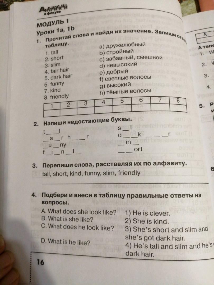 Coach — перевод на английский и произношение, примеры перевода с русского на английский язык