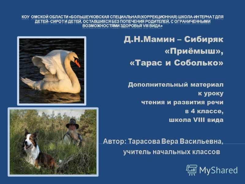 Человек-паук все части по порядку