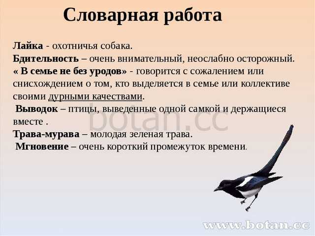 ГДЗ Литературное чтение 4 класс часть 2 Климанова страницы 128 129 Номер 4 Расскажи о Гулливере Опиши его внешность поступки Дай характеристику герою